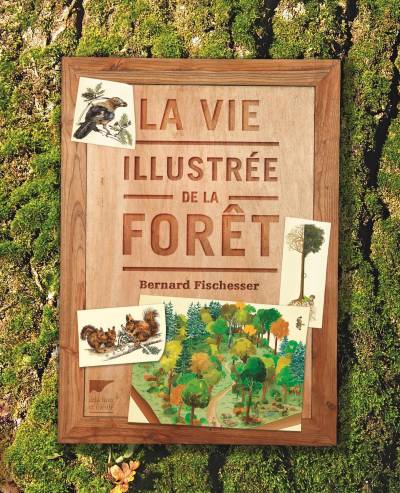 La Vie illustrée de la forêt - Bernard Fischesser