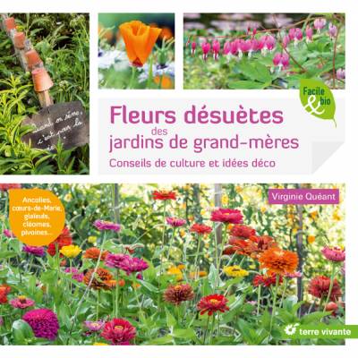 Fleurs désuètes des jardins de grands-mères - Virginie Quéant