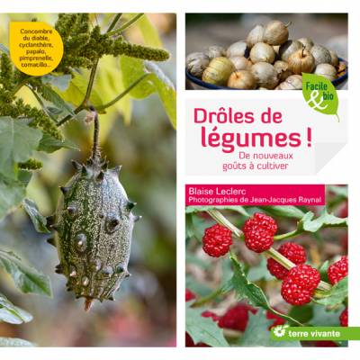 Drôles de légumes ! - Blaise Leclerc