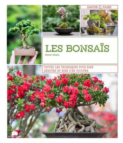 LE PETIT LAROUSSE DES BONSAI - PLANTES D'INTERIEUR - JARDINAGE