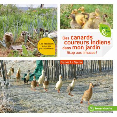 Des canards coureurs indiens dans mon jardin - Sylvie La Spina