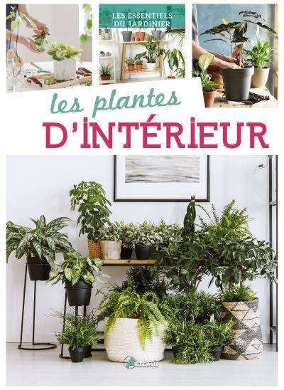 Les plantes d'intérieur - Collectif