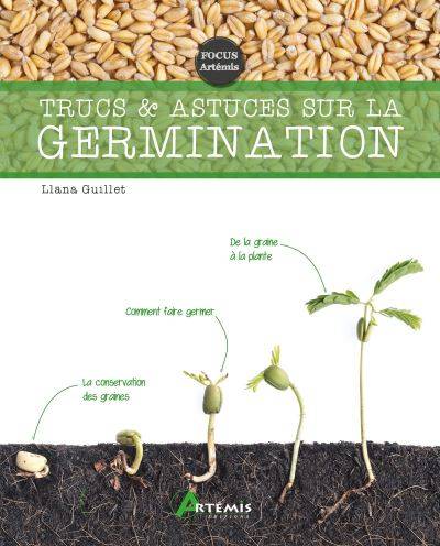 Trucs et astuces sur la germination - Llana Guillet