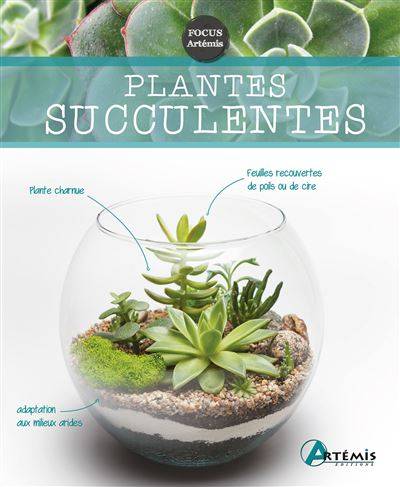 Plantes succulentes - Collectif
