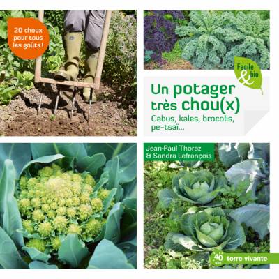 Un potager très chou(x) - Jean-Paul Thorez et Sandra Lefrançois