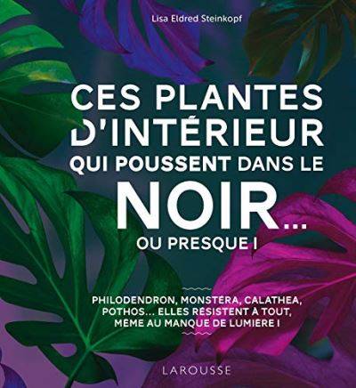 Ces plantes d'intérieur qui poussent dans le noir... ou presque ! - Lisa Eldred SteinkopfI