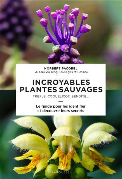 Incroyables plantes sauvages - Norbert PACOREL