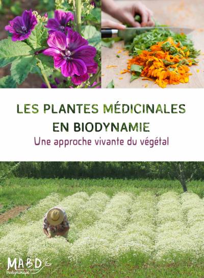 Les Plantes Médicinales en Biodynamie - Collectif dirigé par Jean-Michel Florin