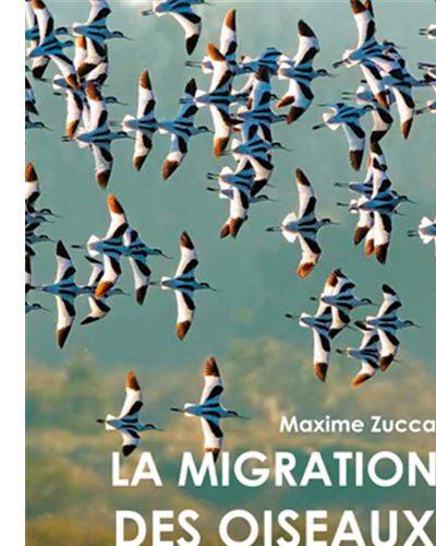 La migration des oiseaux - Maxime Zucca