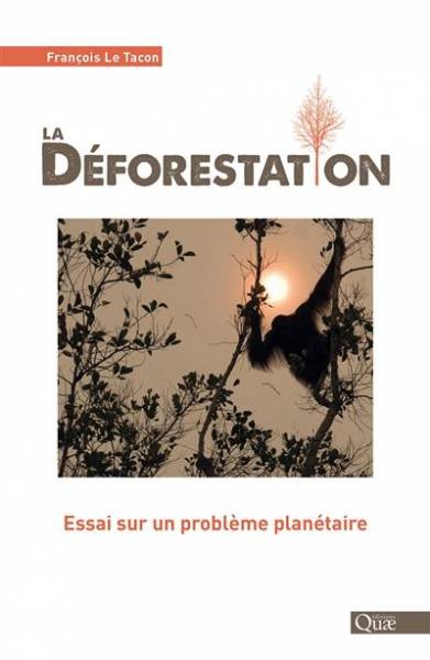 La déforestation - François Le Tacon