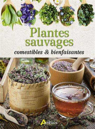 Plantes sauvages comestibles et bienfaisantes - Collectif