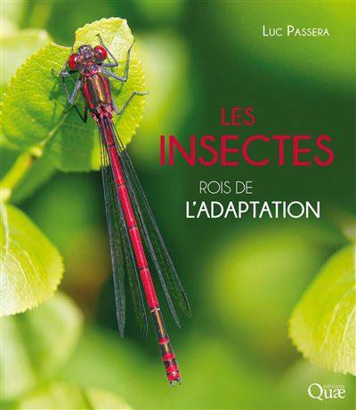Les insectes, rois de l'adaptation - Luc Passera