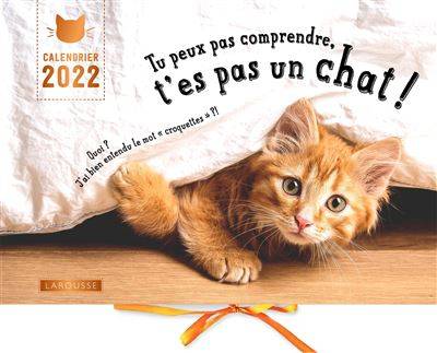 Calendrier 2022 - Tu peux pas comprendre t'es pas un chat  - Aurélie Lemoine - Alice Zabée