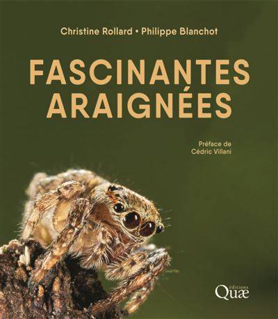 Fascinantes araignées - Christine Rollard, Philippe Blanchot