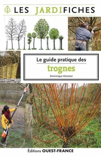 Le guide pratique des trognes - Dominique Mansion