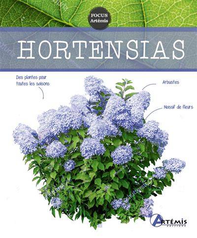 Hortensias - Collectif