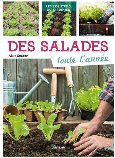 Des salades toute l'année - Alain Soubre