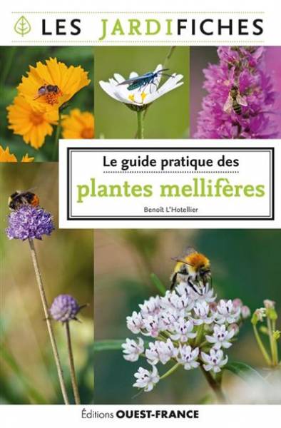 Le guide pratique des jardins mellifères - Benoit L'Hotellier