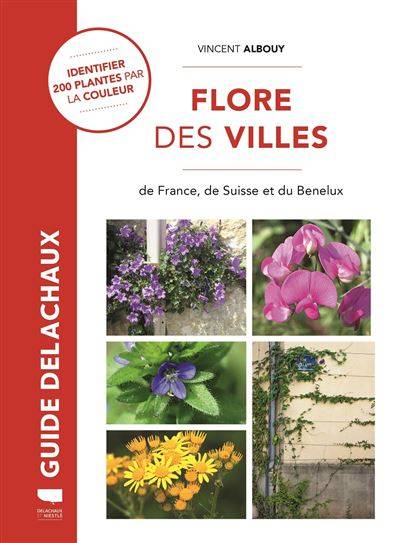 Flore des villes - Vincent Albouy