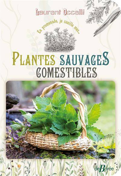Plantes sauvages comestibles - Laurent Occelli