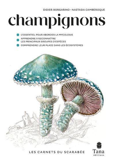 Champignons - Didier Borgarino - Nastasia Camberoque