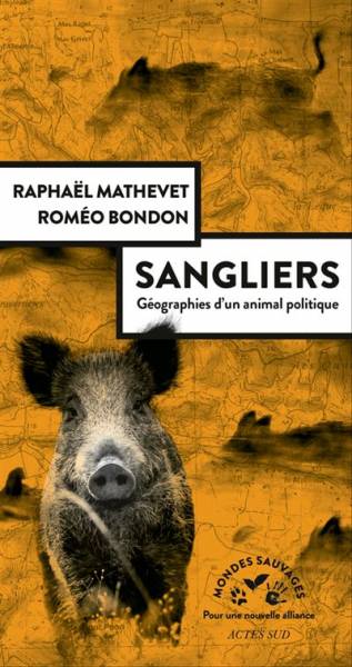 Sangliers - Raphaël Mathevet
