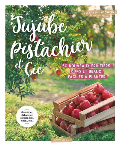 Jujube pistachier et Cie - Jean-Yves Maisonneuve 