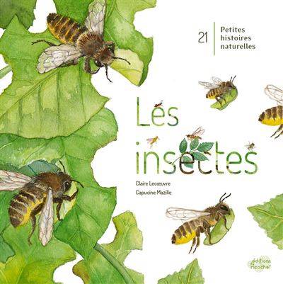 Les insectes - Claire Lecoeuvre; Illustration : Capucine Mazille