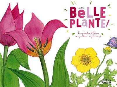 Une belle plante - Marguerite Tiberti;  Illustration : Capucine Mazille