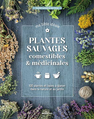 Plantes sauvages comestibles et médicinales - Sophie Lacoste - Nat Sinob