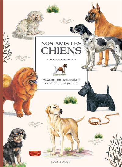 Nos amis les chiens à colorier - Collectif Larousse