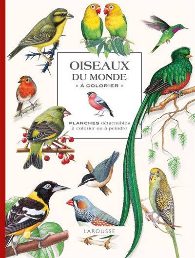 Oiseaux du monde à colorier - Collectif Larousse