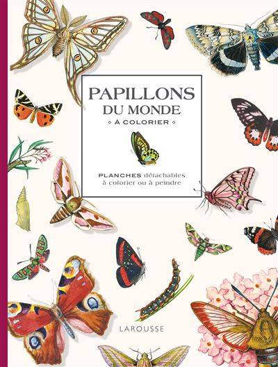 Papillons du monde à colorier - Collectif Larousse