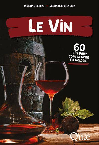 Le vin - Fabienne Remize  - Véronique Cheynier