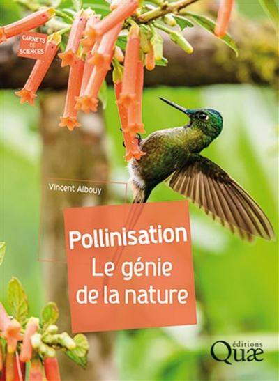 Pollinisation - Le génie de la nature - Vincent Albouy