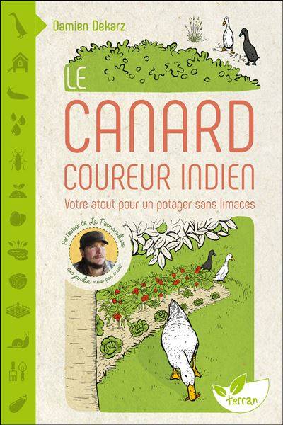 Le Canard coureur indien - Damien Dekarz