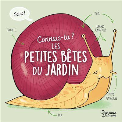 Connais-tu ? Les petites bêtes du jardin - Agnès Besson  - Illustration : Candela Ferrandez