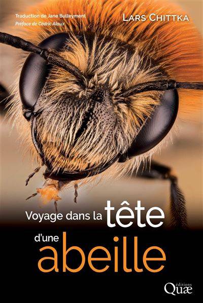 Voyage dans la tête d'une abeille -  Lars Chittka - Jane Bulleyment