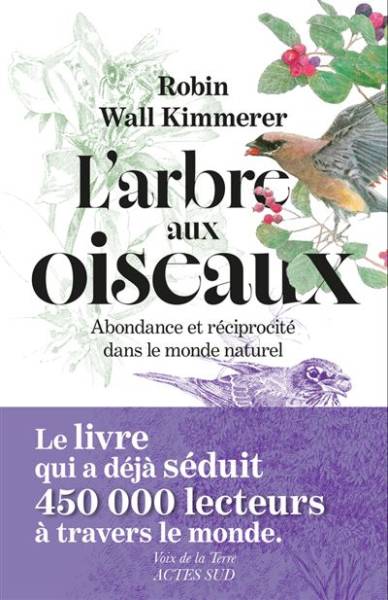 L'arbre aux oiseaux - Robin Wall Kimmerer - Traduction : Marie-Hélène Ray -  Illustration : John Burgoyne