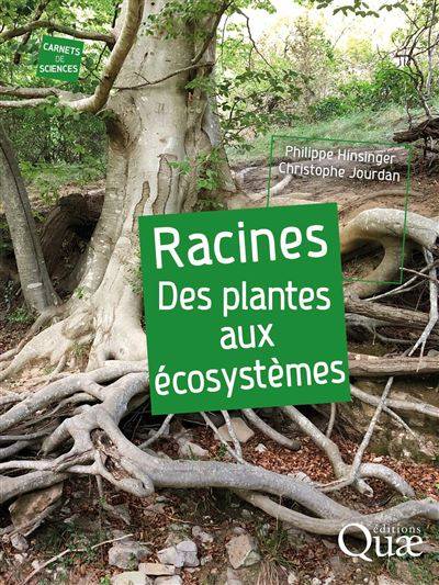 Racines - Des plantes aux écosystèmes - Philippe Hinsinger - Christophe Jourdan