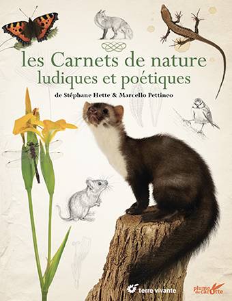 Carnets de nature ludiques et poétiques - Auteur & photographe : Stéphane Hette -  Illustrateur : Marcello Pettineo