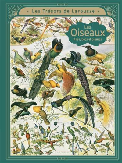 Les Oiseaux - Les trésors Larousse  - Emmanuelle Kecir-Lepetit