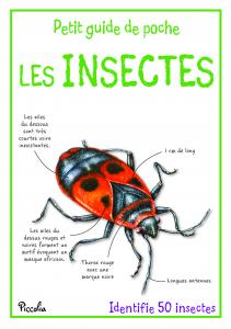 Petit guide de poche / Les insectes