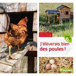 J'élèverais bien des poules - Michel Audureau