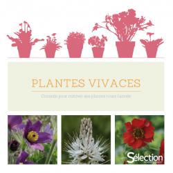 Plantes vivaces - Sélection Reader's Digest