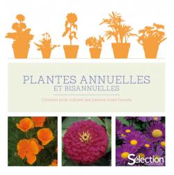 Plantes annuelles et bisannuelles - Sélection Reader's Digest