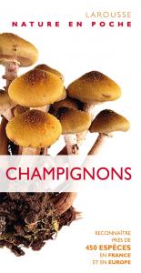 Champignons - Collectif