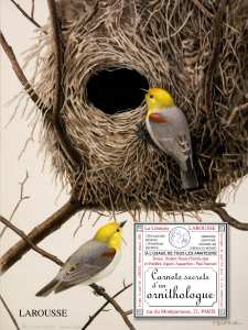 Carnets secrets d’un ornithologue - Robert-Daniel Etchécopar  et Frédéric Jiguet