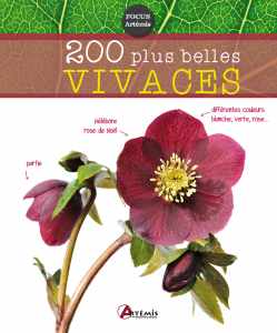 200 plus belles vivaces - Michel Beauvais