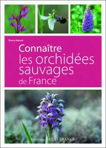 Connaitre les orchidées sauvages de France - Thierry Menard